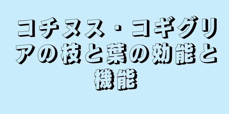 コチヌス・コギグリアの枝と葉の効能と機能