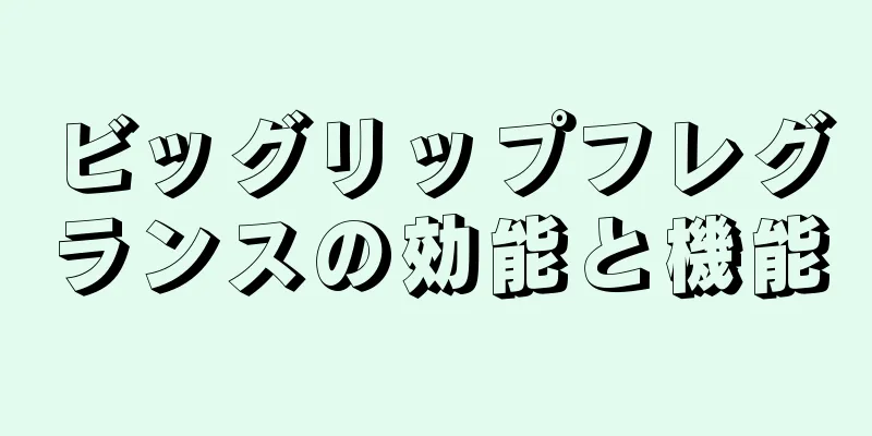 ビッグリップフレグランスの効能と機能