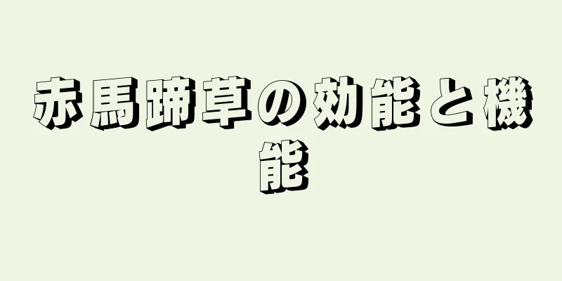 赤馬蹄草の効能と機能
