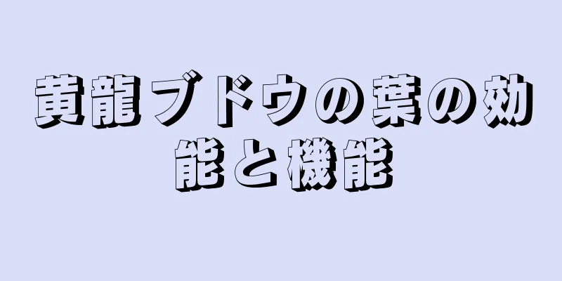 黄龍ブドウの葉の効能と機能