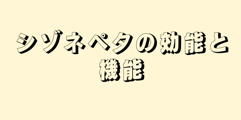 シゾネペタの効能と機能