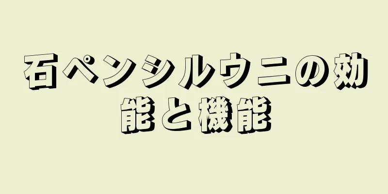石ペンシルウニの効能と機能