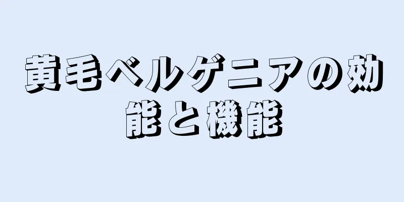 黄毛ベルゲニアの効能と機能
