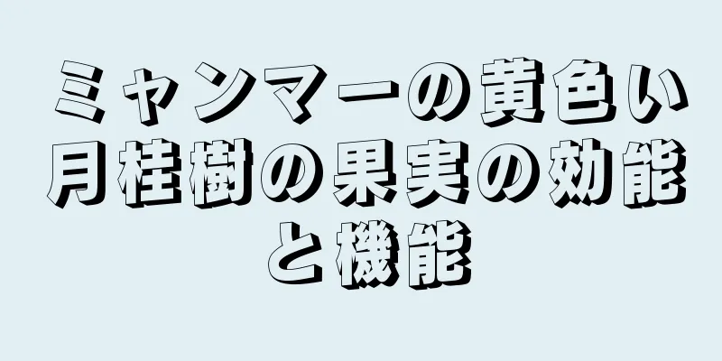 ミャンマーの黄色い月桂樹の果実の効能と機能