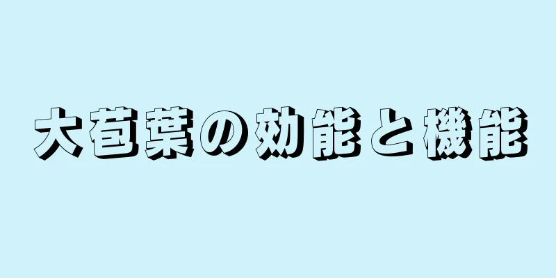 大苞葉の効能と機能