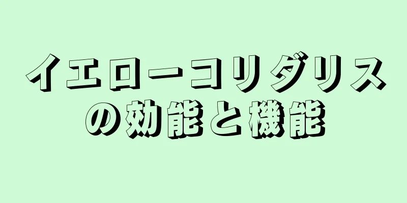 イエローコリダリスの効能と機能