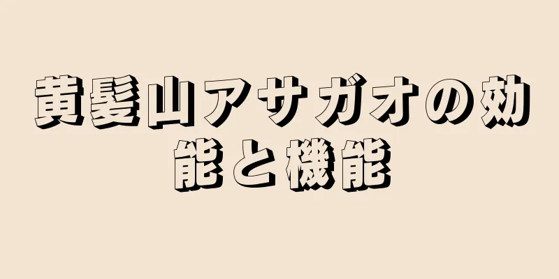 黄髪山アサガオの効能と機能