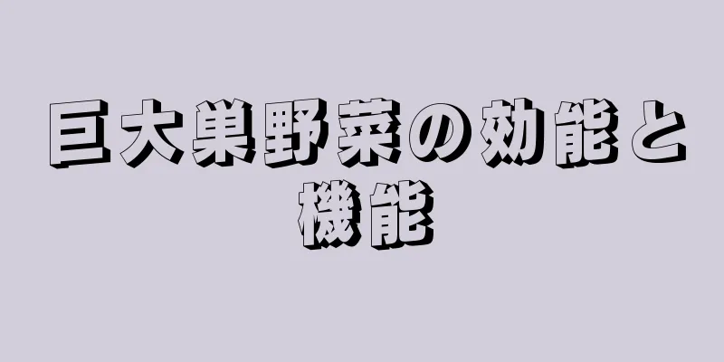 巨大巣野菜の効能と機能