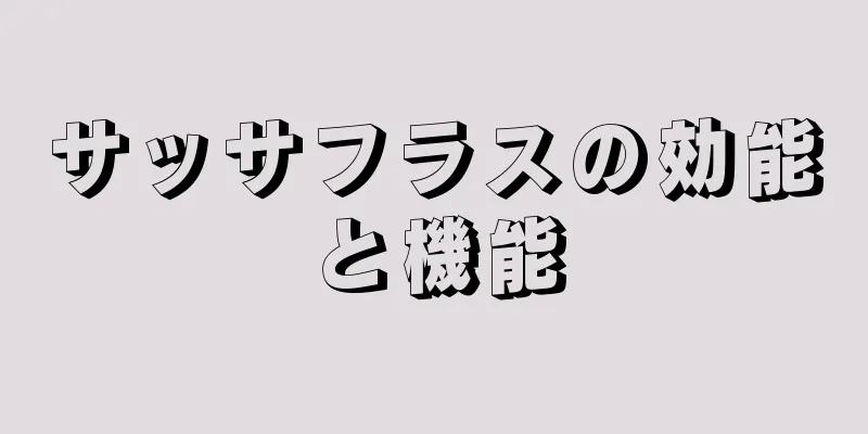 サッサフラスの効能と機能