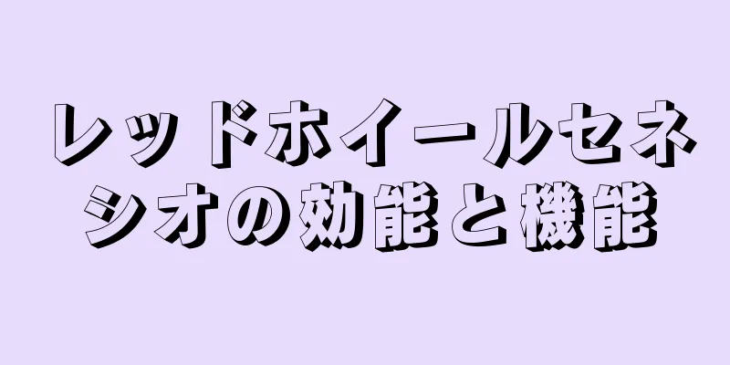 レッドホイールセネシオの効能と機能