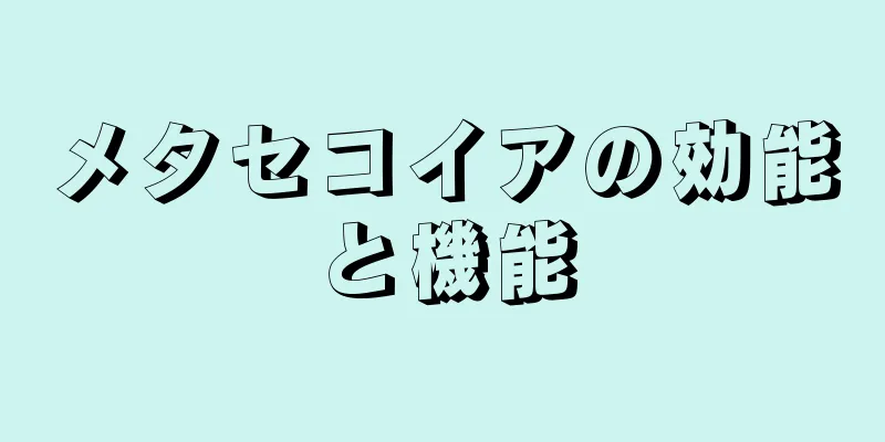メタセコイアの効能と機能