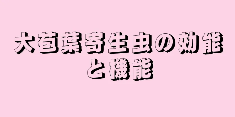 大苞葉寄生虫の効能と機能