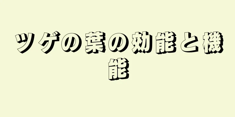 ツゲの葉の効能と機能