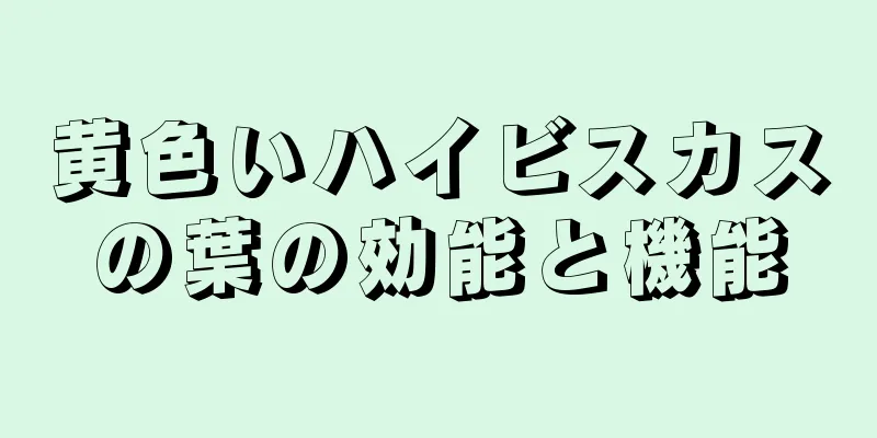 黄色いハイビスカスの葉の効能と機能