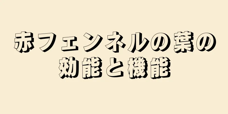 赤フェンネルの葉の効能と機能