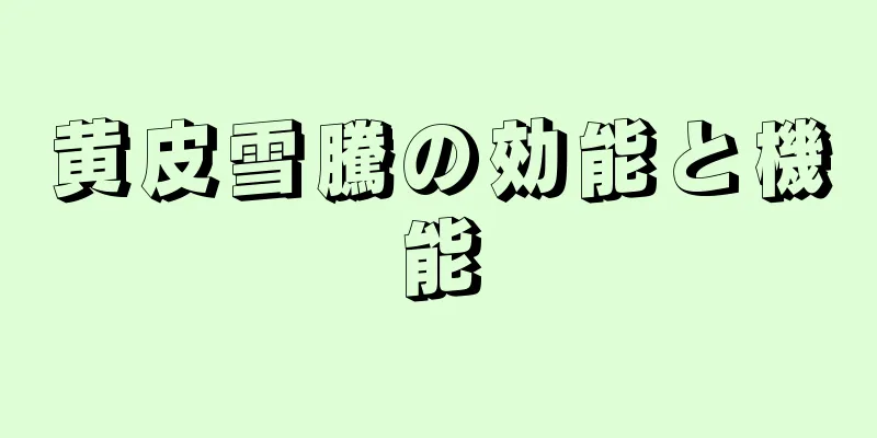 黄皮雪騰の効能と機能