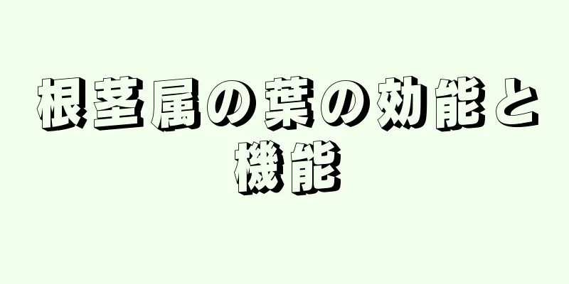 根茎属の葉の効能と機能
