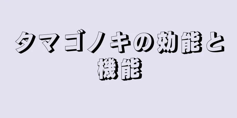タマゴノキの効能と機能