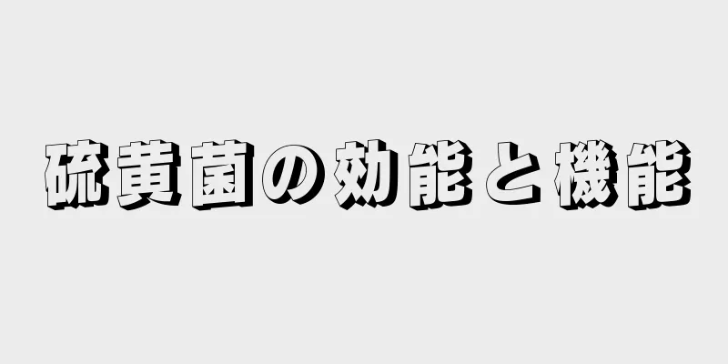 硫黄菌の効能と機能