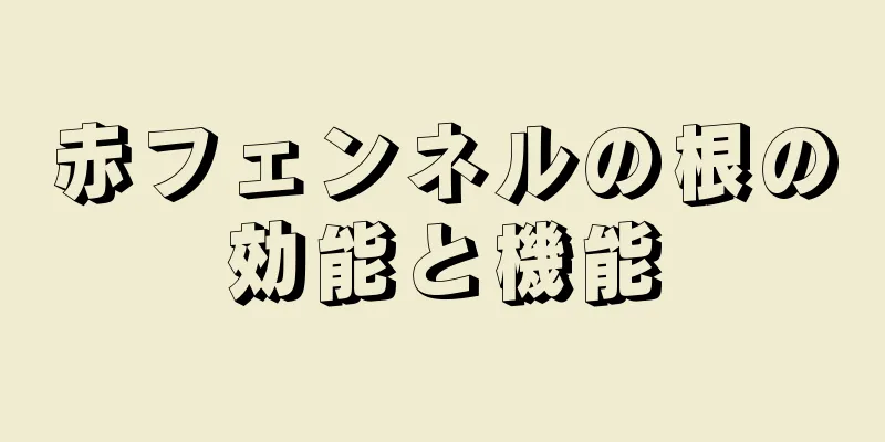 赤フェンネルの根の効能と機能