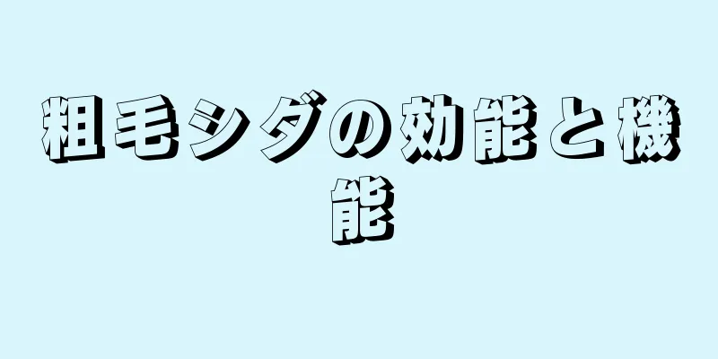 粗毛シダの効能と機能