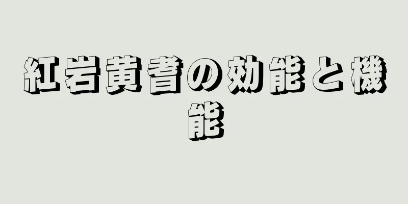 紅岩黄耆の効能と機能