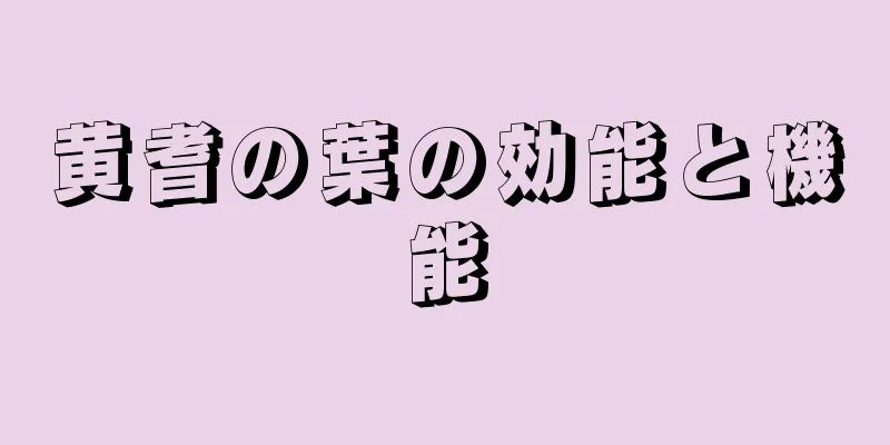 黄耆の葉の効能と機能
