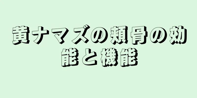 黄ナマズの頬骨の効能と機能