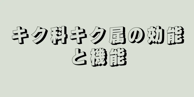 キク科キク属の効能と機能