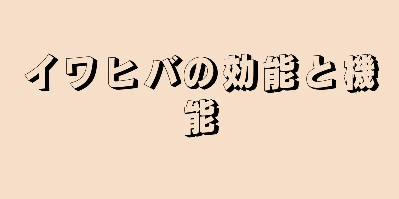 イワヒバの効能と機能