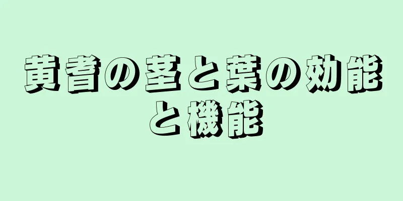 黄耆の茎と葉の効能と機能