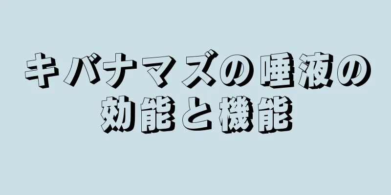 キバナマズの唾液の効能と機能