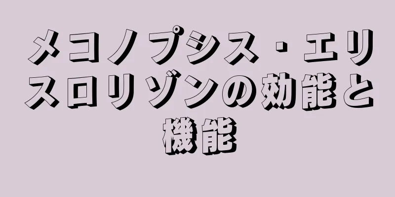 メコノプシス・エリスロリゾンの効能と機能