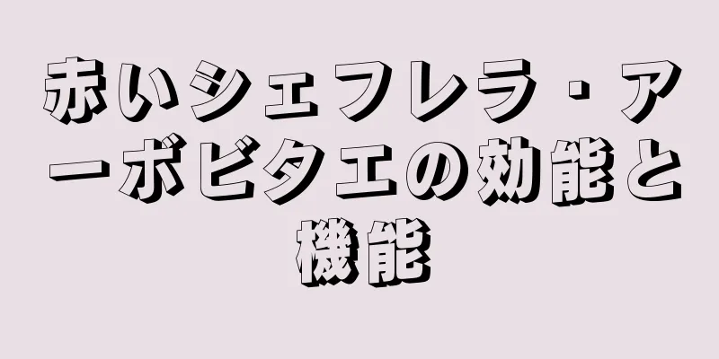 赤いシェフレラ・アーボビタエの効能と機能