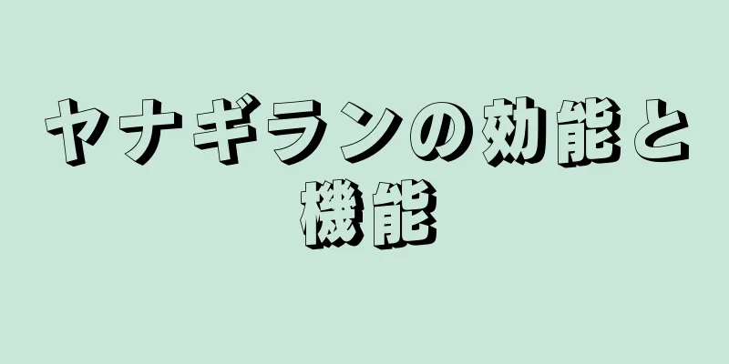 ヤナギランの効能と機能
