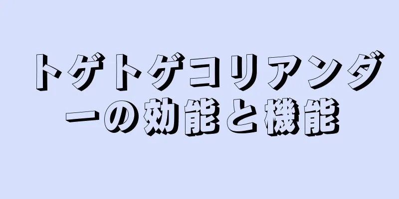 トゲトゲコリアンダーの効能と機能