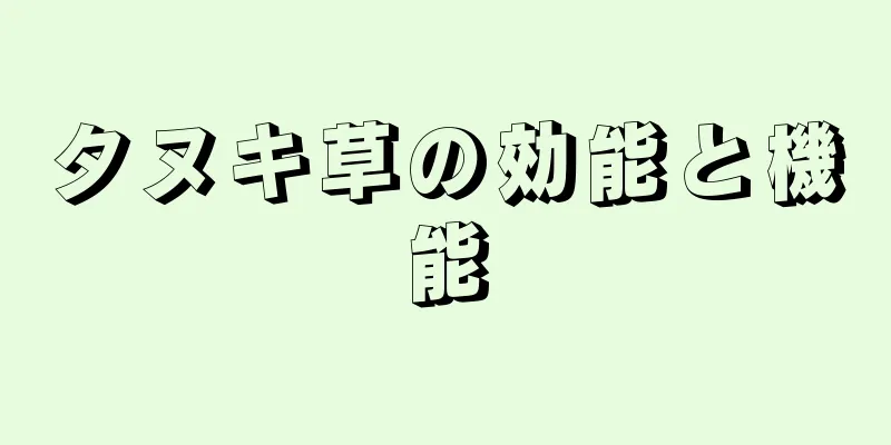 タヌキ草の効能と機能