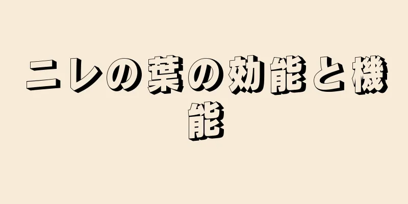 ニレの葉の効能と機能