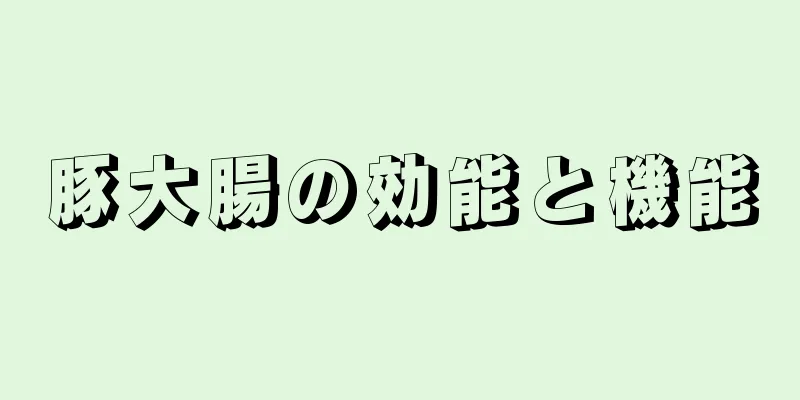 豚大腸の効能と機能