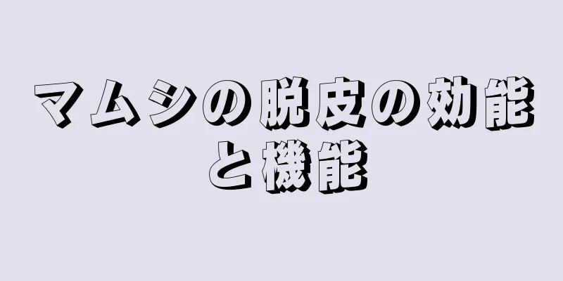 マムシの脱皮の効能と機能