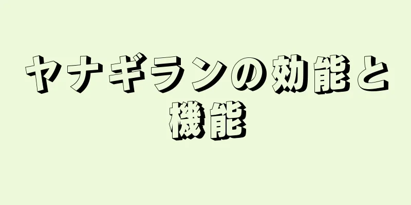 ヤナギランの効能と機能