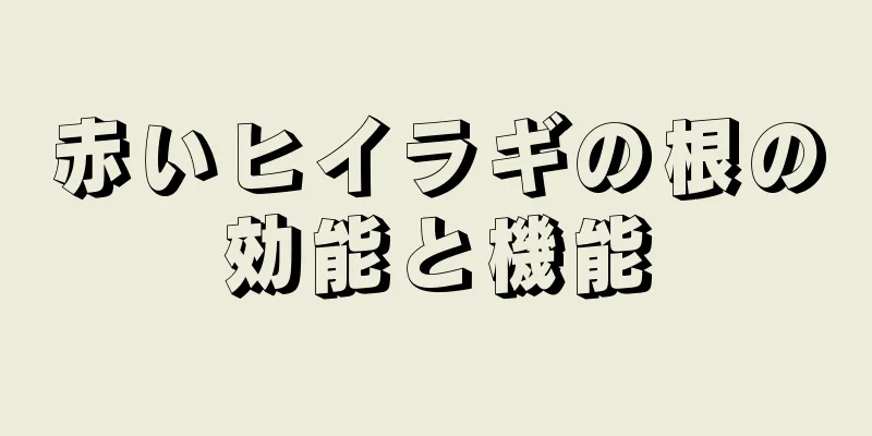 赤いヒイラギの根の効能と機能