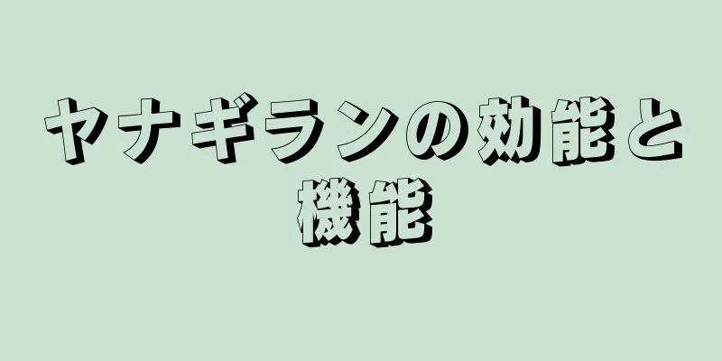 ヤナギランの効能と機能