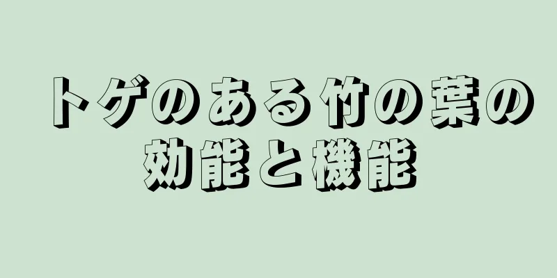 トゲのある竹の葉の効能と機能