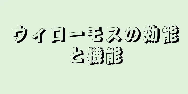 ウィローモスの効能と機能