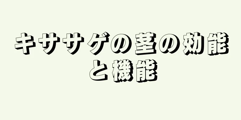 キササゲの茎の効能と機能