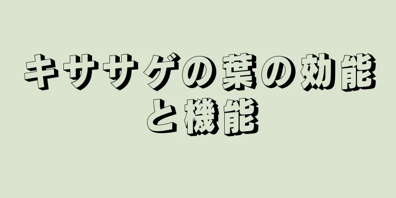 キササゲの葉の効能と機能