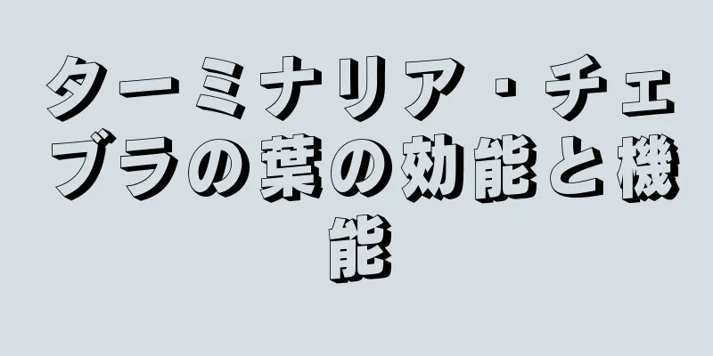 ターミナリア・チェブラの葉の効能と機能