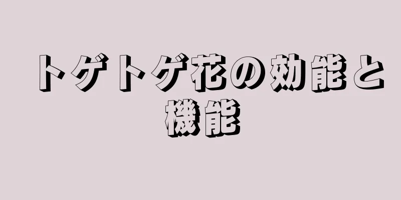 トゲトゲ花の効能と機能