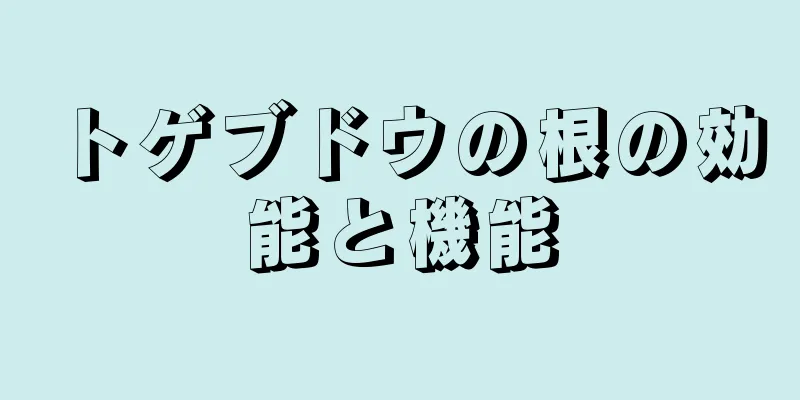 トゲブドウの根の効能と機能